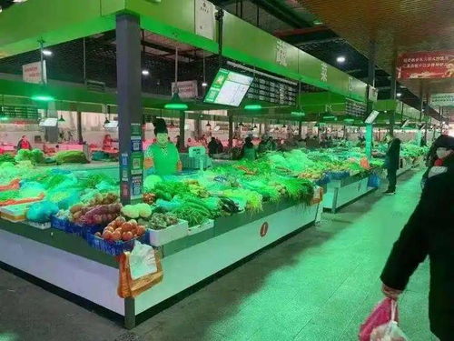 市場(chǎng)監(jiān)管新春行 食品安全四大行動(dòng)守護(hù)佳節(jié)，休閑觀光活動(dòng)惠民生